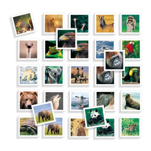 Vzdelávacia hra Diset Memo Photo Animales 54 Kusy